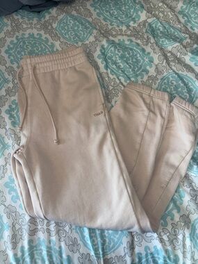 TNA aritzia sweatpants